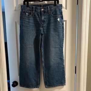 J. Crew Factory 90’s Vintage Baggy Cropped Jeans